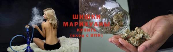 ALPHA PVP Горнозаводск